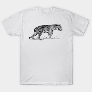 Tiger T-Shirt